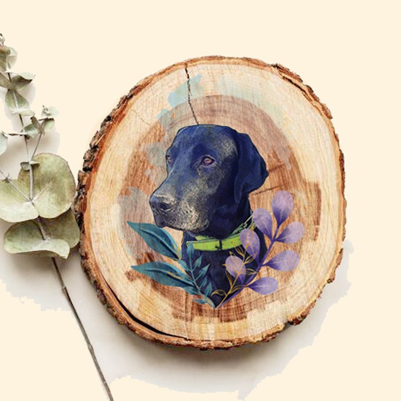 WhatsApp Image 2021-05-17 at 23.34.38